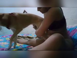 Girls XXX: Bestiality with Dogs Video Porno