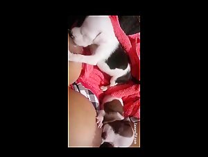 Deconstructing Dogporn and Animal Porn