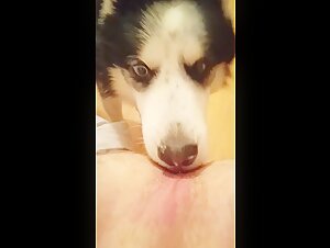 story of a woman and her dog