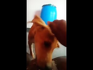 Best Homemade Porn Videos with Asian Women and Dogs