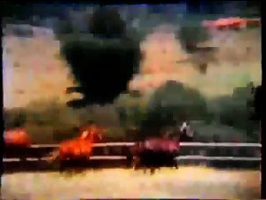 A woman sucks dog and a dirty stallion is fucked by a putrid bitch
