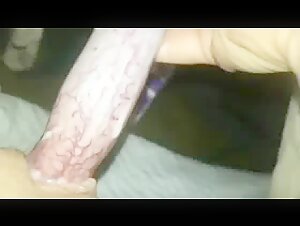 girl and dog xxxanimal