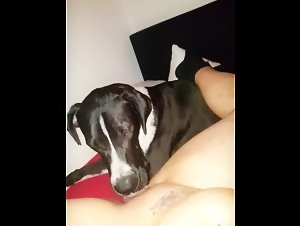 The Blonde Woman Fucks Her Dog in an Intense and Shocking Scene