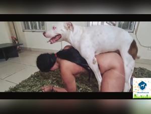 An Animated Video of a Dog Getting Fucked by Its Mistress