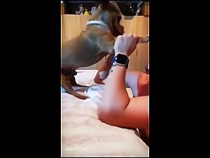 A very erotic video that will lower your pants