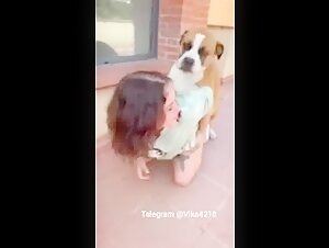 dog cock and dog sex