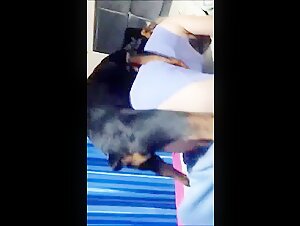 intimate with mature dog
