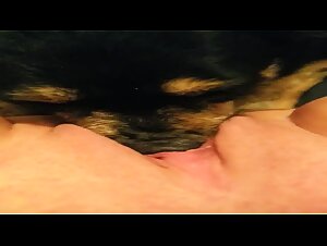 The Dog Gets Her Sexed Up by Her Mate