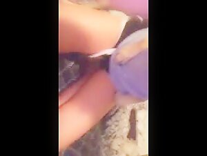 amateur dog provoking