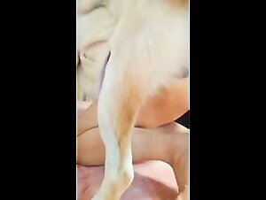 Best Animal Porn Videos: Dog, Slut, Pussycat - XXX Extreme