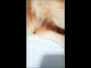 Pornscum and the Animal Sensuality