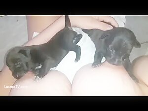 beastie girls animal tube