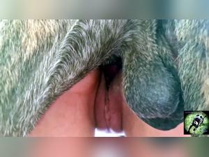 An Intimate Scene with Triana's Canine Companion