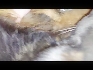 extreme dog girlfriend scenarios