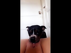 Understanding Zoofilia Porn Videos