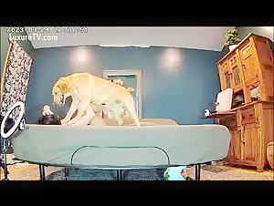 alisonprod fucking animals