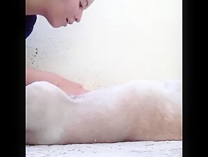 zoobeeg bestiality videos