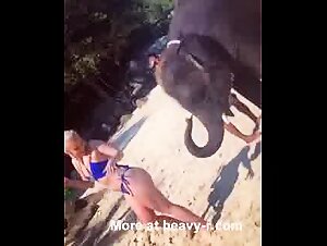 Ethical Boundaries in Zoophilia Exploration
