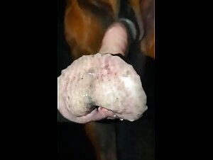 The Pussy Fucks of the Animal Lovers: A Wild Zoo Porn Experience
