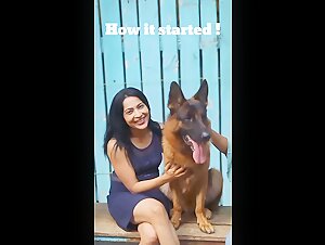 unvorhersehene begegnung hund frau