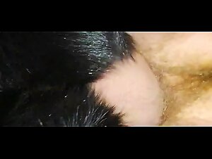 Bokep Zoo: Delving into the Explicit