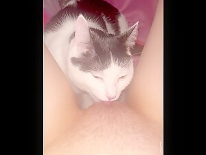 sensual woman cat