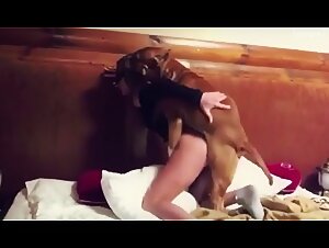 Canine Eros: A Tapestry of Sensual Pleasures