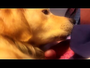 The Most Popular Dog-Sucking Women to Watch