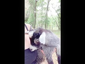 denise frazier videon