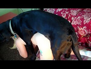 The Libertine Night and the Slutes Playing with Their Dog