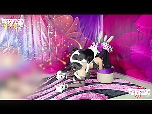 no durasso dog sex is safe