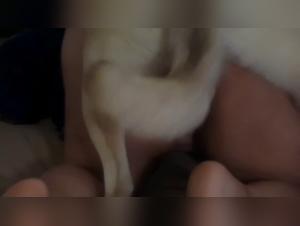 Hot Videos of Women Sex with Dogs