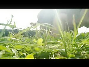 bestial intense encounter