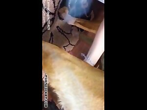 Dog Suck & Teen Fucks Dog: Reality vs. Taboo