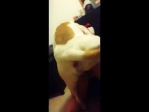 Dogfuck Chronicles: Pushing Boundaries