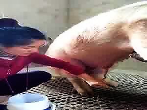 Men Giving in to Their Wild Animal Instincts