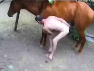This mature man and stallion's banging is incredible