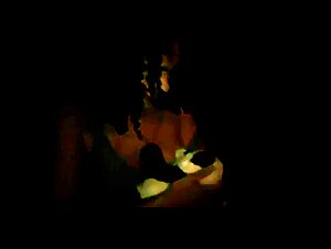 Exploring Boundaries: Animalistic Allure & Human Desire