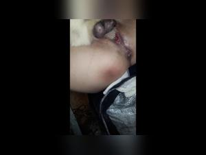 Dog Porn Videos and Animal Bestiality Content