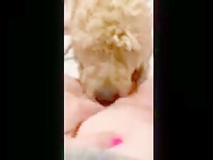 submissive wife dog