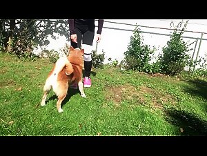 Bestiality Videos: Hot Animal Sex Tube
