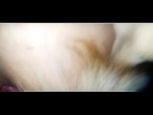 A steamy romance between a housewife and her dog
