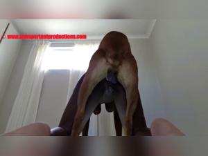 The Slut fucks her Dog Hardcore