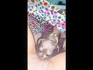 xxxzoo homemade beastiality