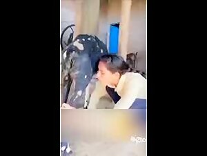 The relationship between woman and dog: a two-way love
