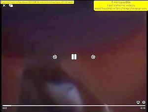 woman and beast : zoofilia videos
