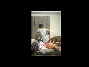 The Sex Between a Woman and Her Dog: An Intense Moment in the Porn.