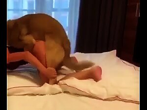 Best Zoophilia Sex Videos with Dog