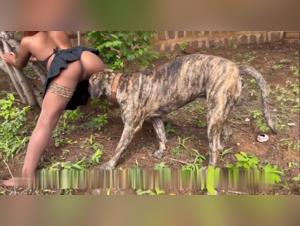 Female F*cking Dogs: A Selection of the Most Exotic and Thrilling Zoophile Porn Videos