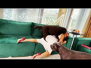 Tiersex Revelations: A Graphic Reality